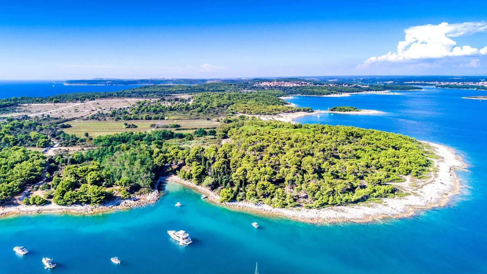 Villa Menta Piperita - Happy Rentals Muntić 0*,  Croacia
